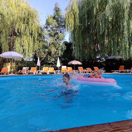 Family Hotel IV Velingrad Dış mekan fotoğraf